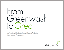 From Greenwash to Great